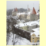 DSCN5449.jpg